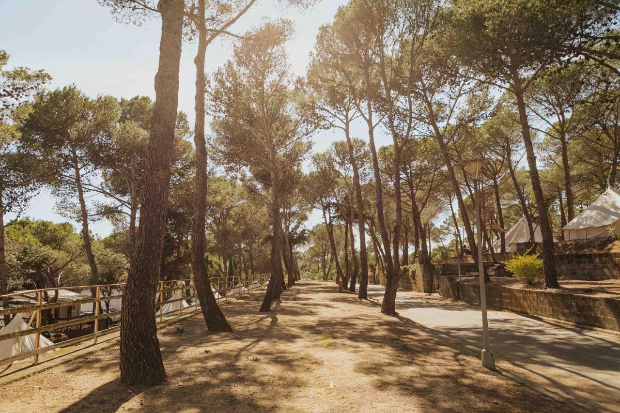 Camping Santa Elena Lloret de Mar Eksteriør billede